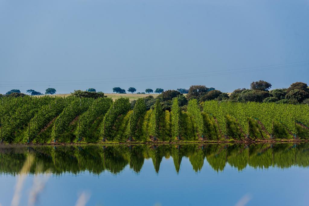 Vila Gale Alentejo Vineyard - Clube De Campo Hotel Albernoa Exterior photo